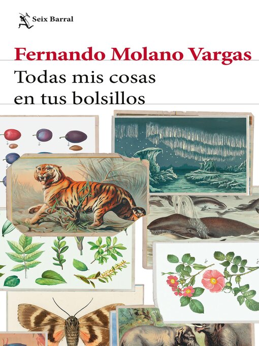 Title details for Todas mis cosas en tus bolsillos by Fernando Molano Vargas - Available